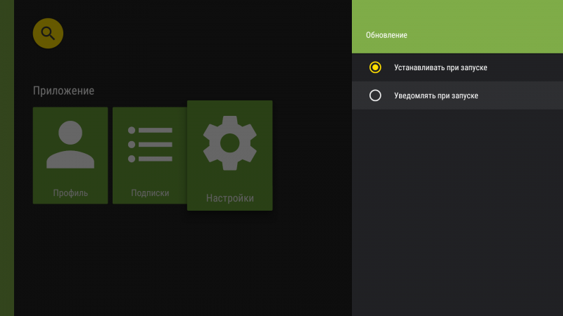 Файл:AndroidTV настройки обновление2d.png